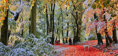 Snow in Autumn