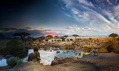 4D Puzzles - Serengeti 1000 Piece Jigsaw Puzzle box