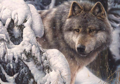 Cobble Hill - Master Of The North 1000 Piece Jigsaw Puzzle