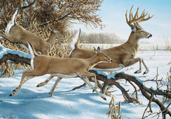 Cobble Hill - Breaking Cover 1000 Piece Jigsaw Puzzle