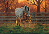 Cobble Hill - Quiet Time 500 Piece Jigsaw Puzzle