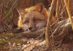 Cobble Hill - A Touch Of Warmth 500 Piece Jigsaw Puzzle