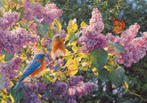Cobble Hill - Spring Interlude 500 Piece Jigsaw Puzzle