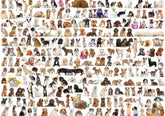 Eurographics - World Of Dogs 1000 Piece Jigsaw Puzzle