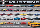 Eurographics - Ford Mustang Evolution 1000 Piece Jigsaw Puzzle