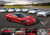 Eurographics - Corvette Stringray 1000 Piece Jigsaw Puzzle