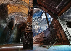 Ravensburger - Lost Places Graffiti Alpenhaus, Beelitzer 1000 Piece Adult's Jigsaw Puzzle