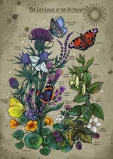 Ravensburger - AT: Life circle Butterfly 1000 Piece Adult's Jigsaw Puzzle