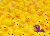 Ravensburger - Rubber Ducks (Challenge) 1000 Piece Adult's Jigsaw Puzzle