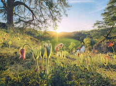 Ravensburger - Four Seasons 500 Piece Adult's Jigsaw Puzzle 4x500