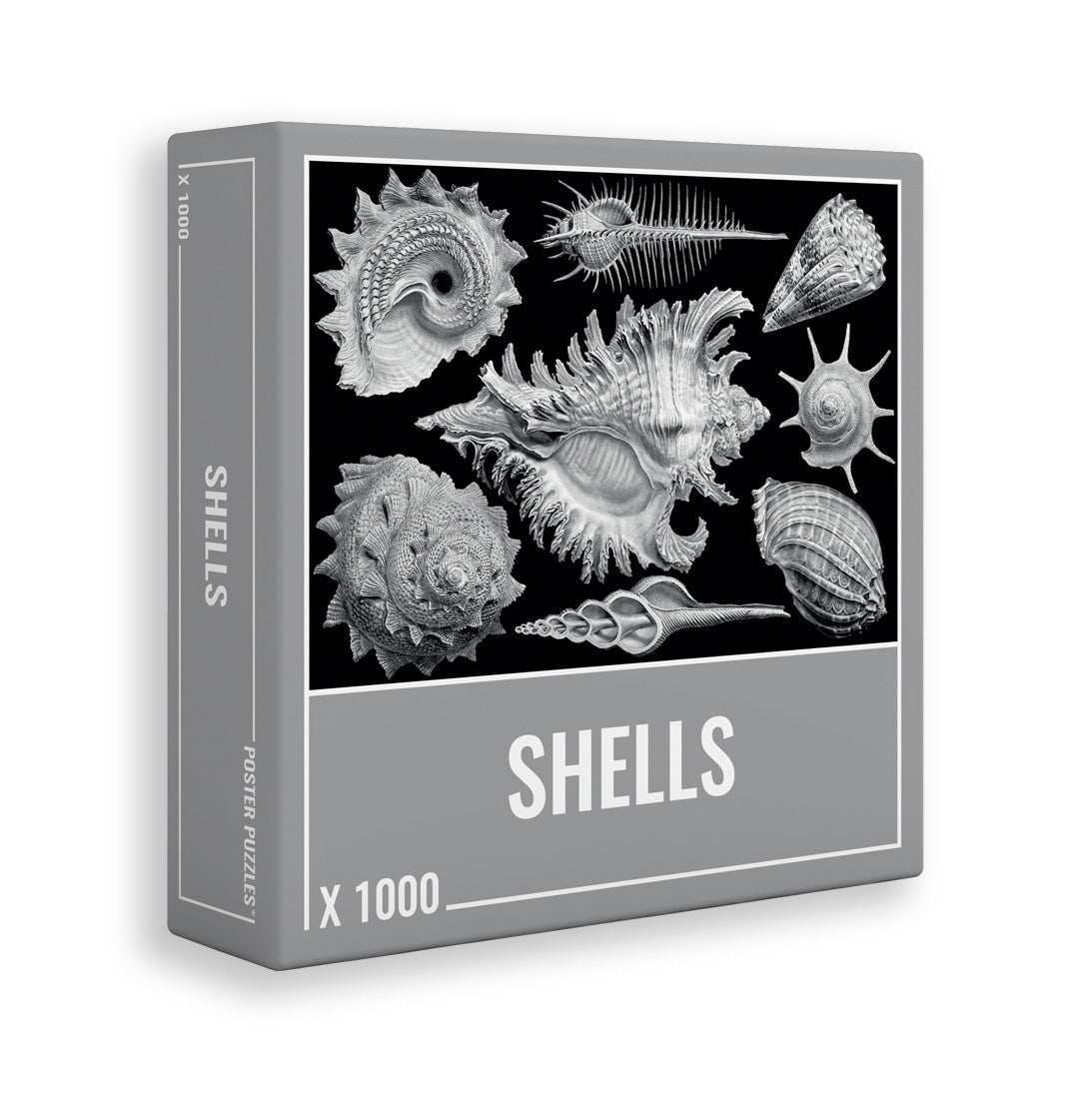 Cloudberries - Shells 1000 Piece Jigsaw Puzzle box