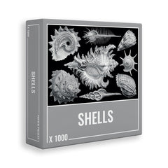 Cloudberries - Shells 1000 Piece Jigsaw Puzzle box