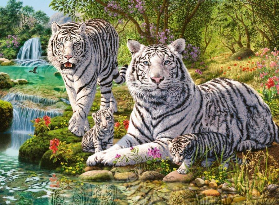 Ravensburger - White Tiger Family 500 Piece Puzzle – Premium Puzzles