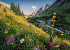 Ravensburger - Magical Valley 1000 Piece Adult's Jigsaw Puzzle