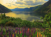Ravensburger - Scandinavian Places: Fjord in Norway 1000 Piece Adult's Puzzle