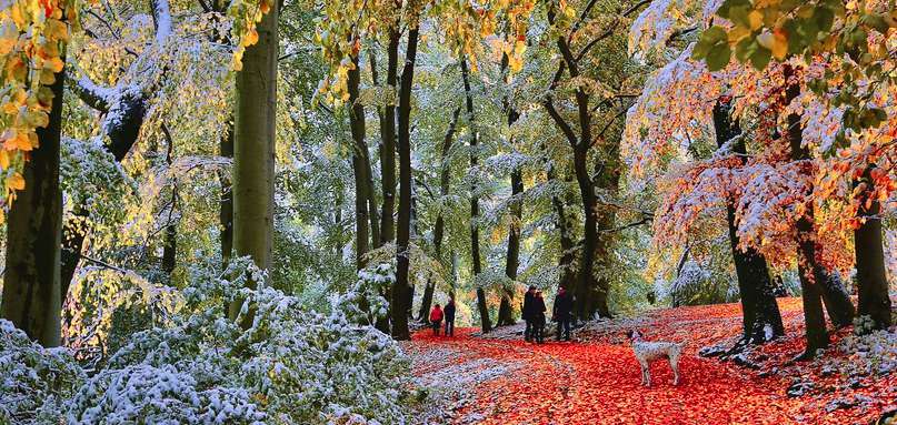 Snow in Autumn
