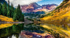 Ravensburger - Aspen, Colorado 1000 Piece Adult's Jigsaw Puzzle