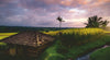Ravensburger - Nature Edition No 22: Bali Rice Fields 500 Piece Puzzle