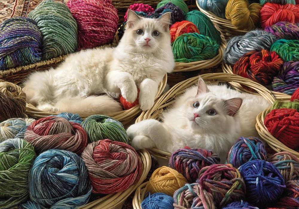 Cobble Hill - Ragdolls 1000 Piece Jigsaw Puzzle