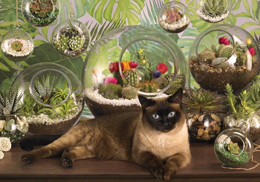 Cobble Hill - Terrarium Cat 1000 Piece Jigsaw Puzzle