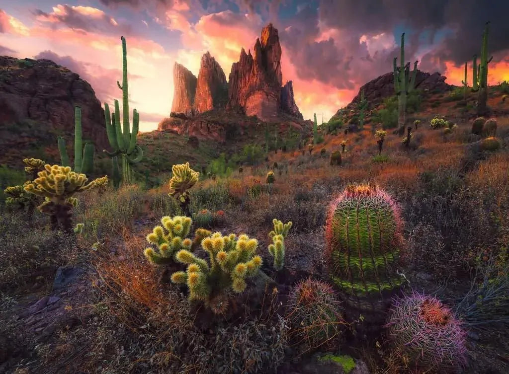 Ravensburger - Cactus 500 Piece Adult's Jigsaw Puzzle
