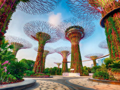 Ravensburger - Gardens By The Bay, Singapore 1500 Piece Adult's Jigsaw Puzzle