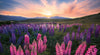Ravensburger - Nature Edition: Lupines 500 Piece Family Jigsaw Puzzle