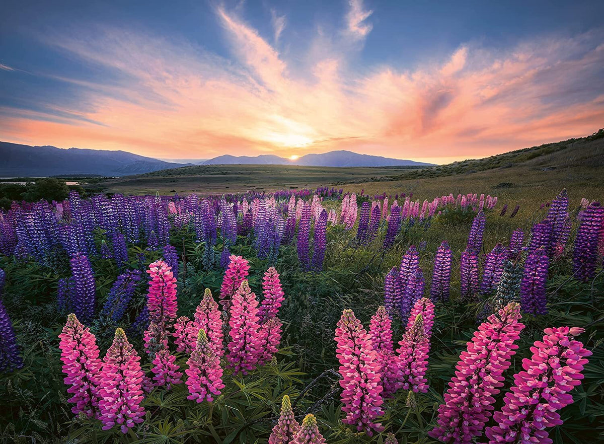 Ravensburger - Nature Edition: Lupines 500 Piece Family Jigsaw Puzzle