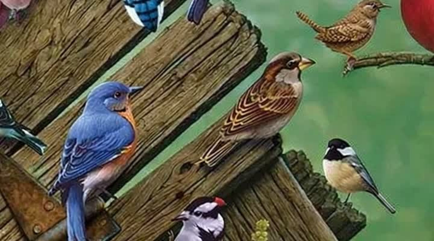 North American songbirds perched on a fallen timber gate among pink roses