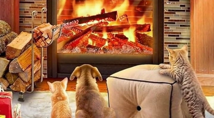 The firelit living room of the Ravensburger Christmas Eve 1500 piece jigsaw puzzle brought to life, flames flickering as a labrador sleeps and a puppy and two kittens watch