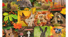 Jumbo - Autumn Animals 1000 Piece Adult's Jigsaw Puzzle