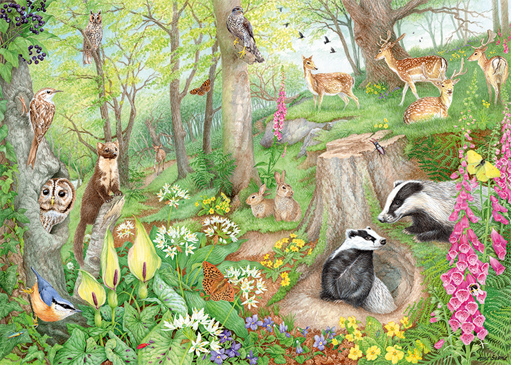 Falcon - Woodland Wildlife 1000 Piece Adult's Jigsaw Puzzle