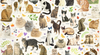 Jumbo - Francien van Westering: Cats Poster 1000 Piece Jigsaw Puzzle