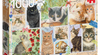Jumbo - Francien van Westering: Cat Stamps 1000 Piece Jigsaw Puzzle