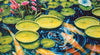 Cobble Hill - Koi Pond 1000 Piece Jigsaw Puzzle