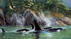 Cobble Hill - Orcas 1000 Piece Jigsaw Puzzle