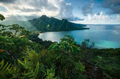 Ravensburger - Hawaiian Viewpoint 5000 Piece Jigsaw Puzzle