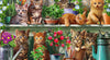 Ravensburger - Cats on the Shelf 500 Piece Jigsaw Puzzle