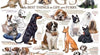 Cobble Hill - Dog Quotes 1000 Piece Jigsaw Puzzle