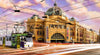 Funbox - Finding Flinders 1000 Piece Jigsaw Puzzle