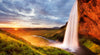 HEYE - Van Humboldt: Waterfall 1000 Piece Jigsaw Puzzle