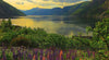 Ravensburger - Scandinavian Places: Fjord in Norway 1000 Piece Adult's Puzzle