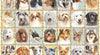 Ravensburger - Mutt Shots! 500 Piece Jigsaw Puzzle