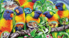 Ravensburger - Land of the Lorikeet 1000pc Adult's Puzzle