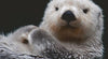Ravensburger - Adorable Little Otter 500 Piece Family Jigsaw Puzzle