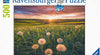 Ravensburger - Nature Edition No 20: Dandelions at Sunset 500 Piece Family Jigsaw Puzzle