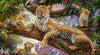 Ravensburger - Leopard Family 1000 Piece Puzzle