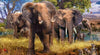 Ravensburger - Elephant Family 500 Piece Family Jigsaw