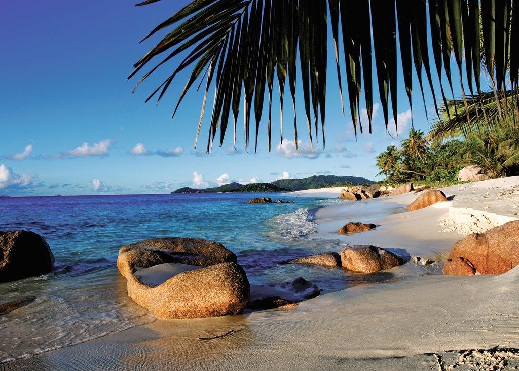 Ravensburger - Under the Palms 1000 Piece Adult's Jigsaw Puzzle