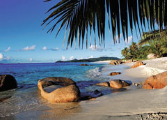 Ravensburger - Under the Palms 1000 Piece Adult's Jigsaw Puzzle